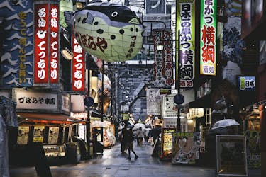 Осака пешеходная экскурсия с гидом